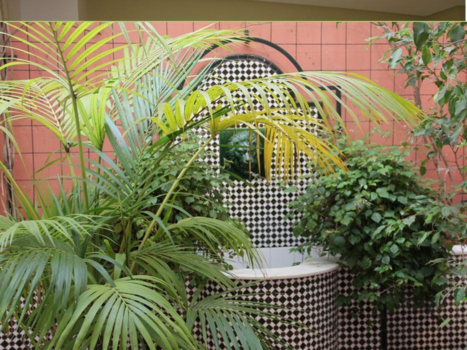 Hotel Plateria Écija Интериор снимка